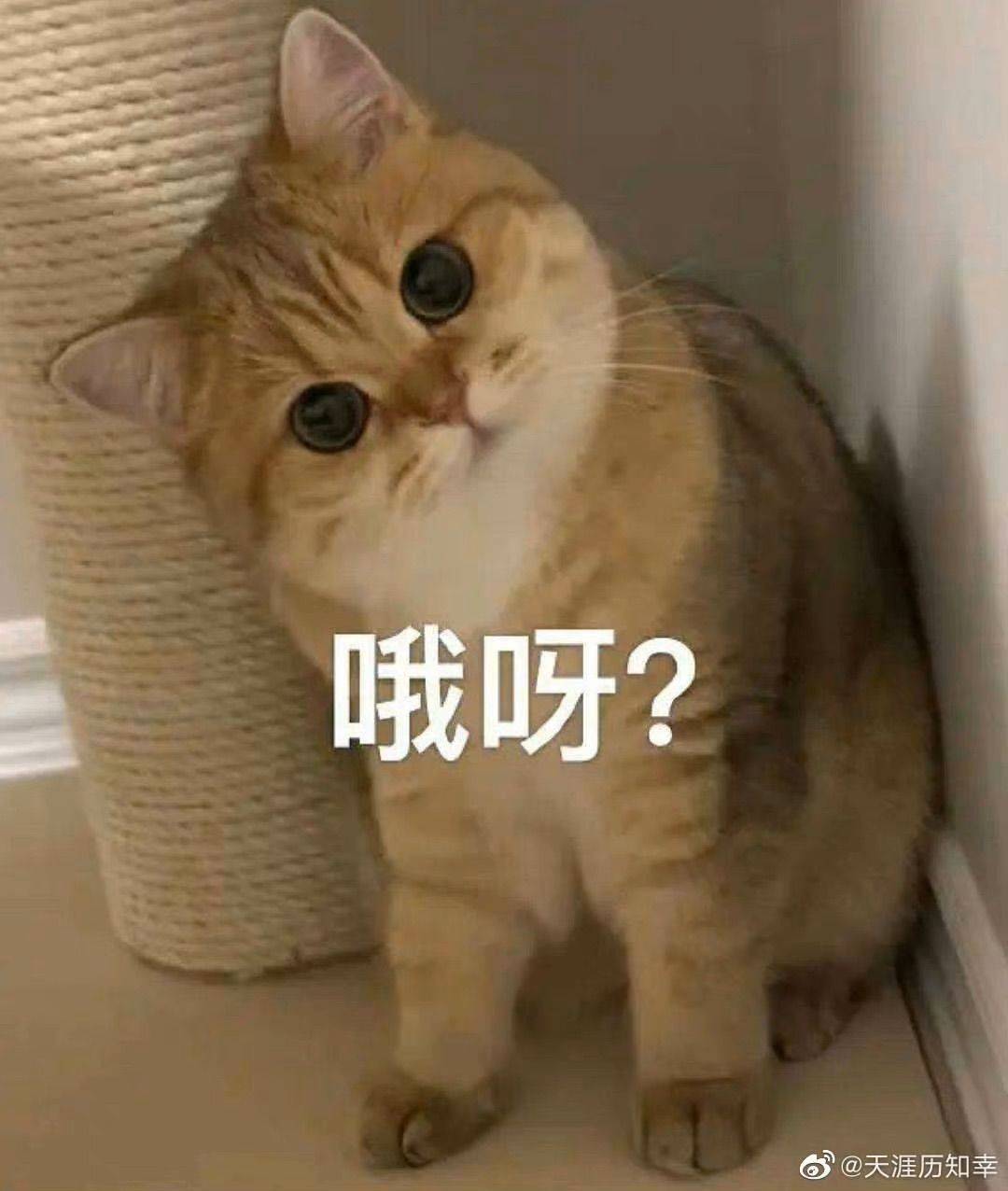 来财