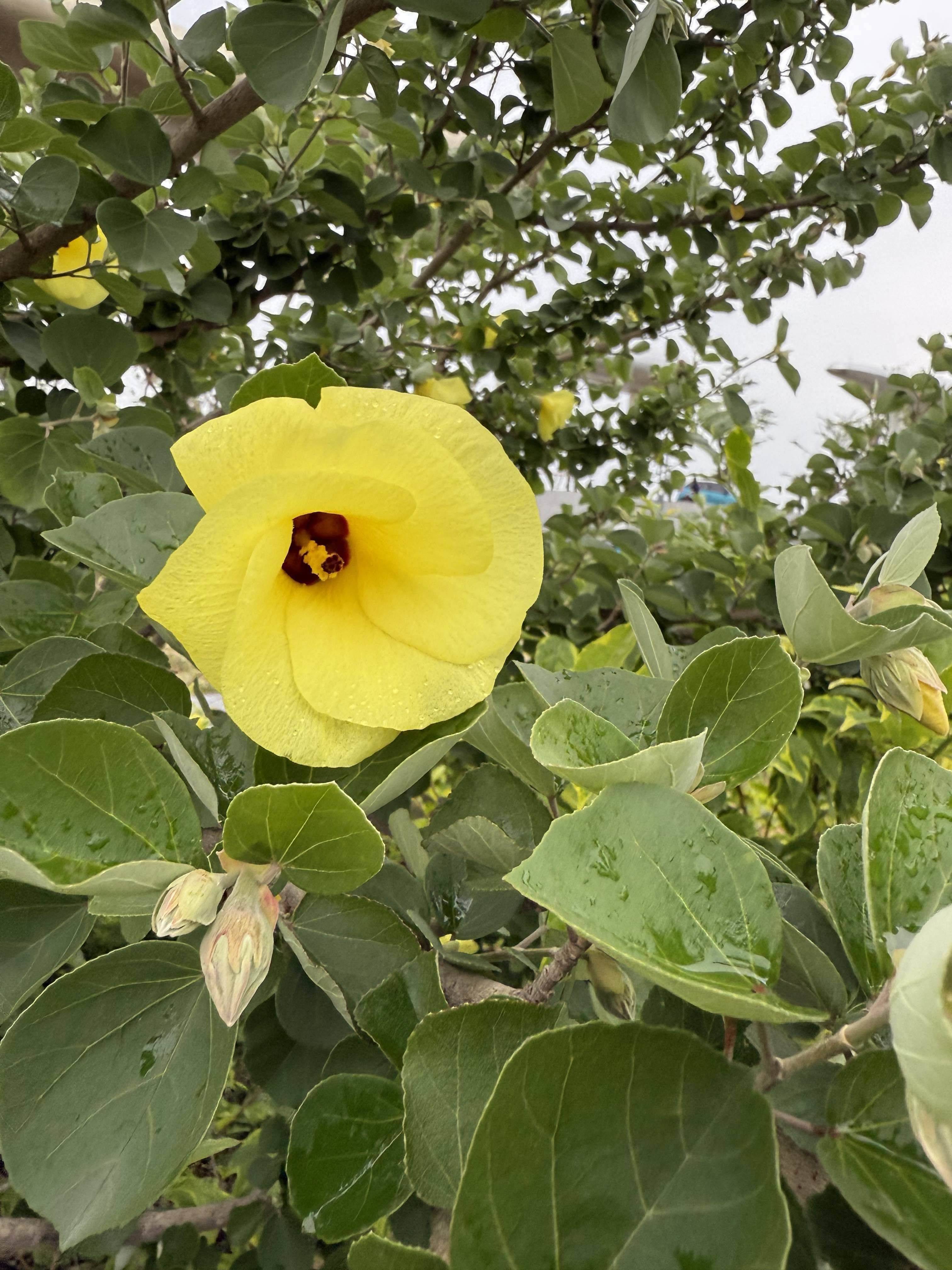 life_photo_0