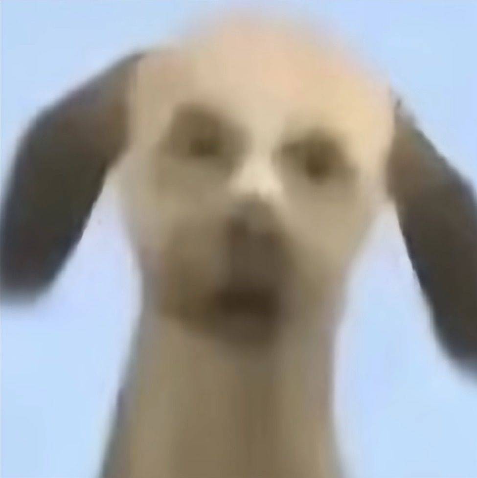 嘿嘿嘿