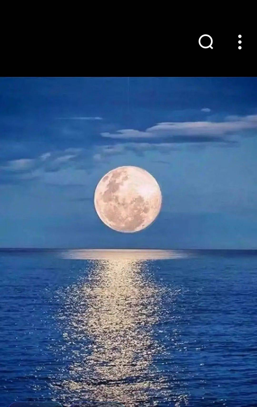 微笑马蹄莲