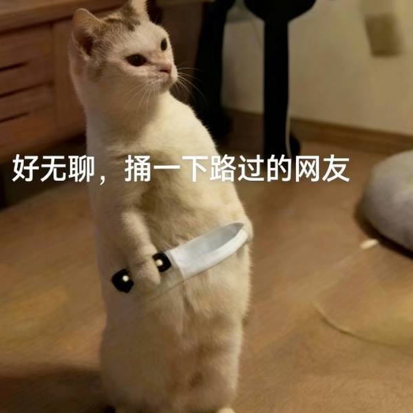 qqq
