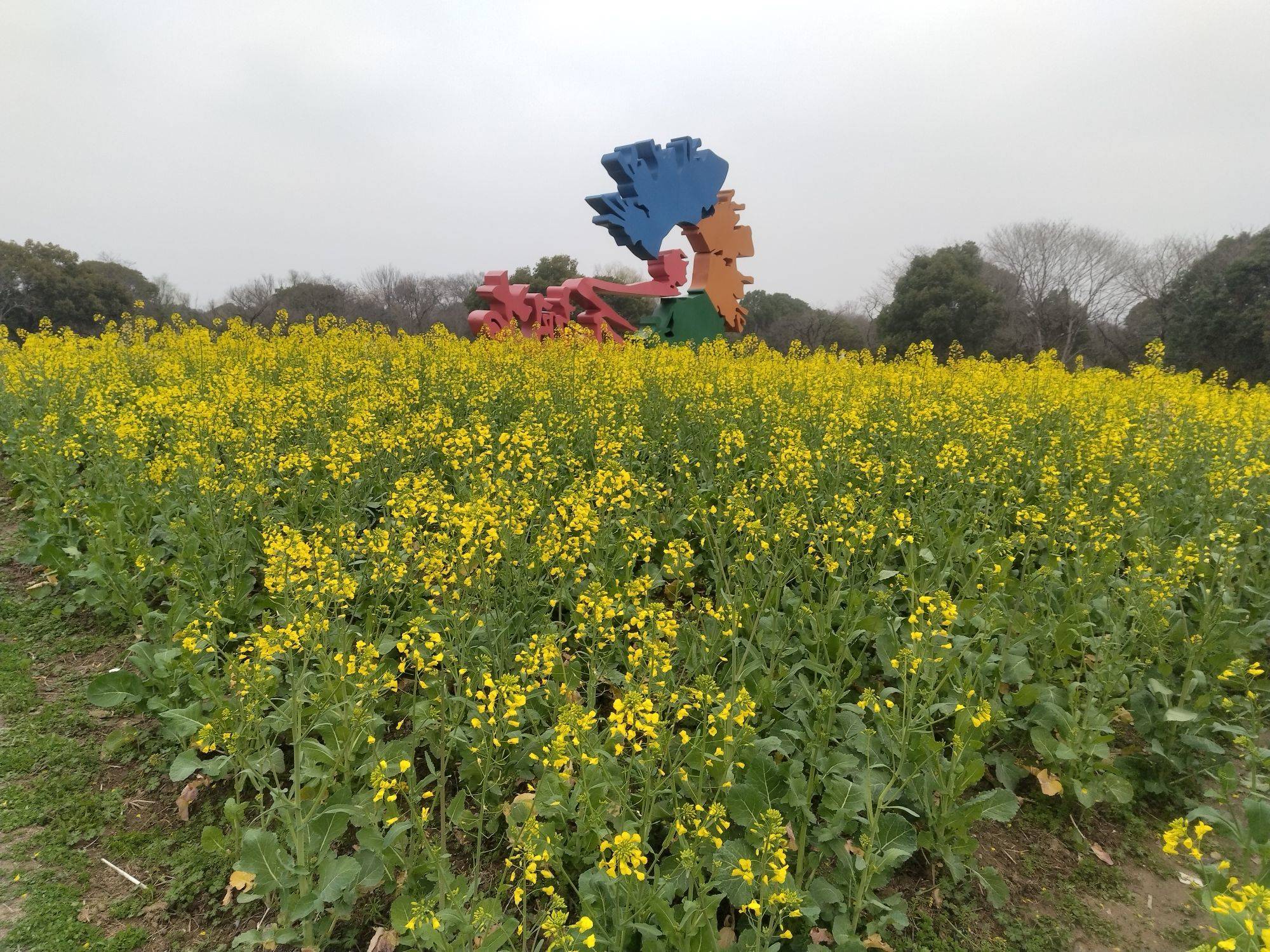 东村