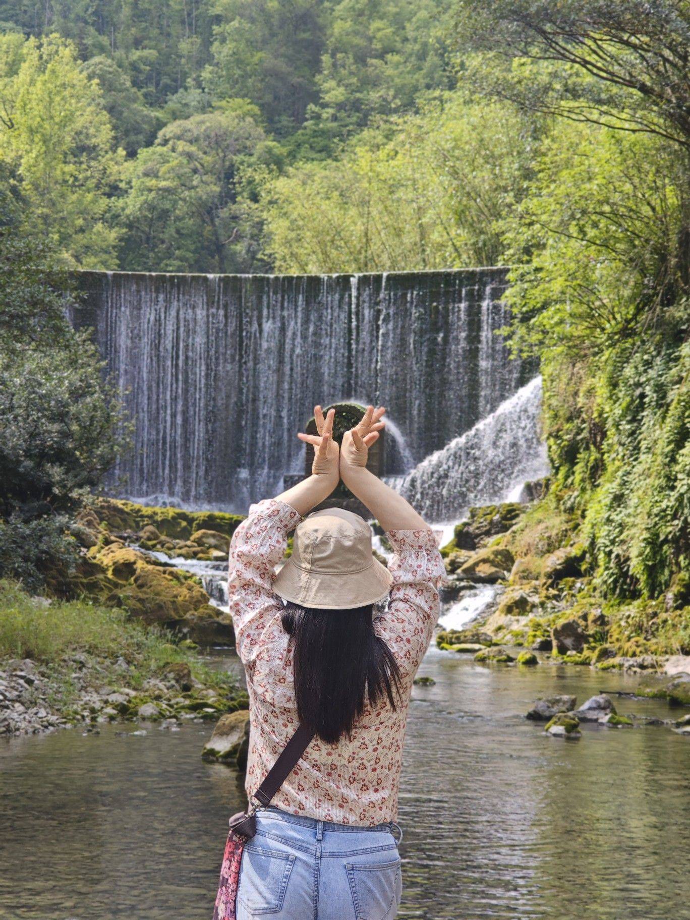 四叶草