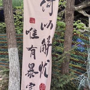 随心
