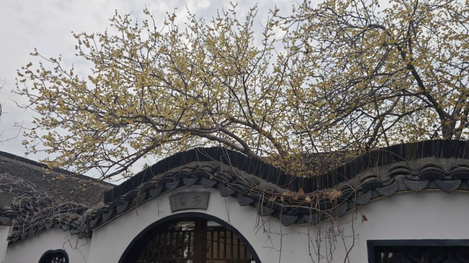 水底冰