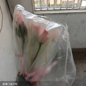 菜菜子呀