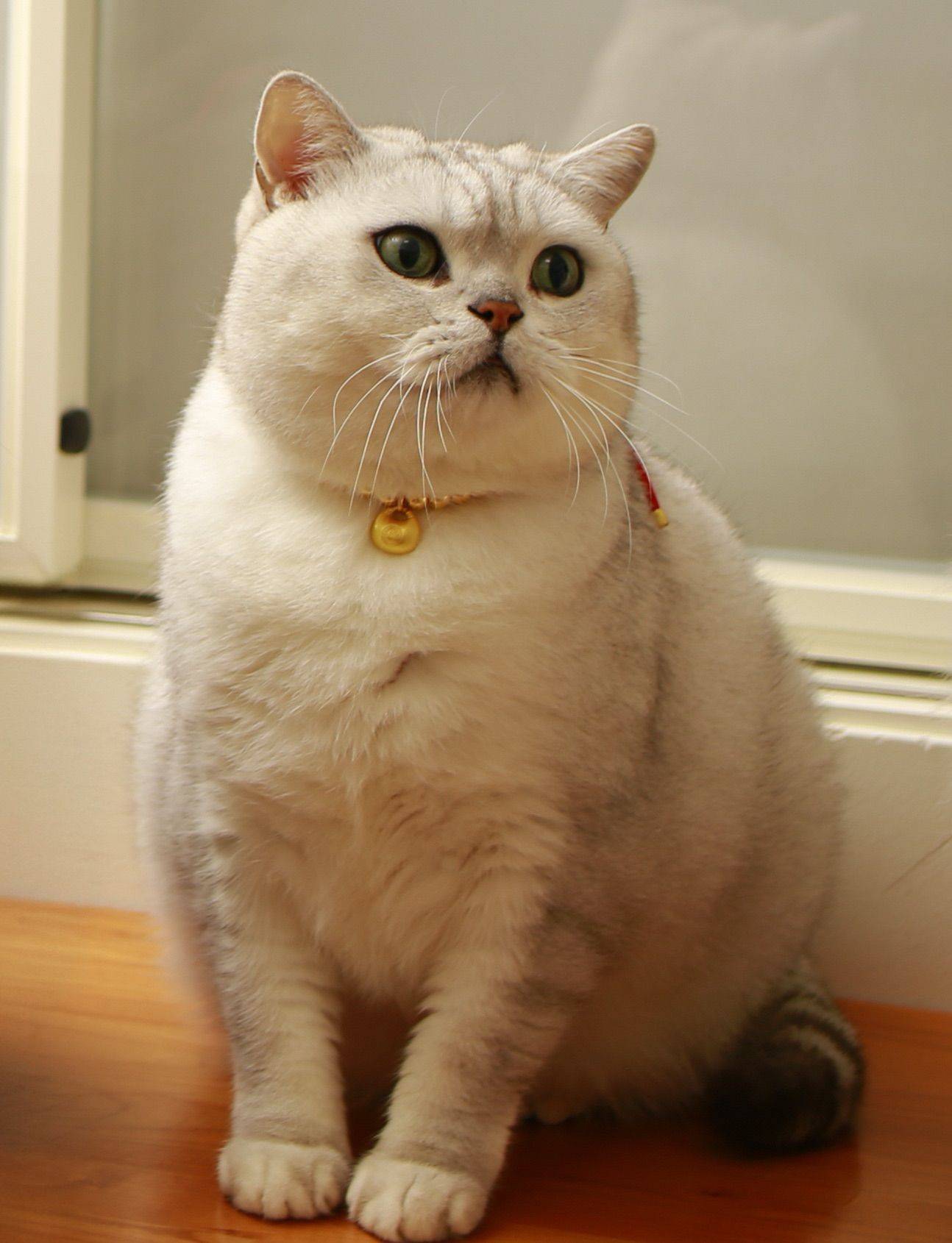 Anni