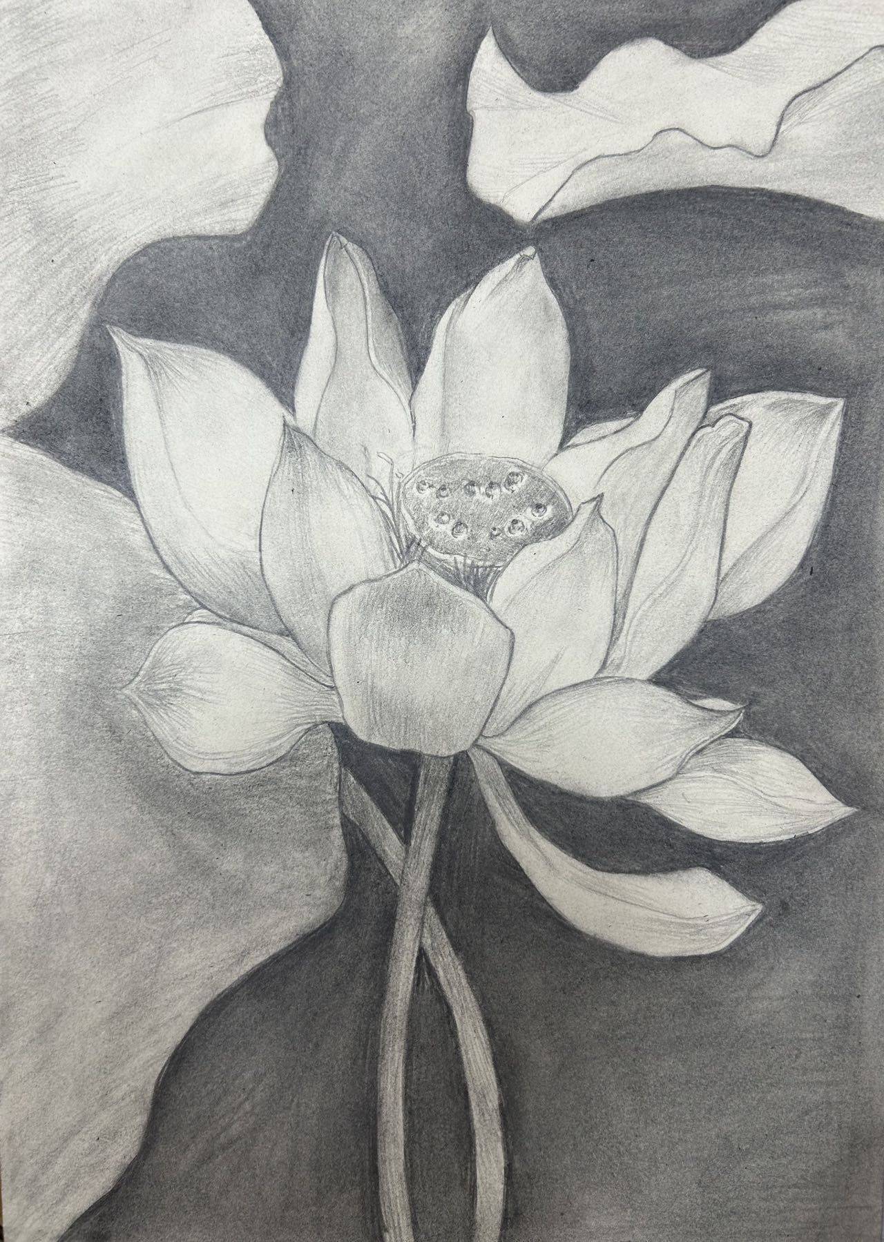 蔡蔡