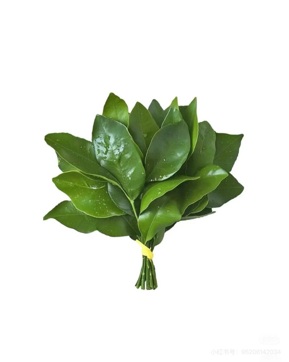 随心所欲