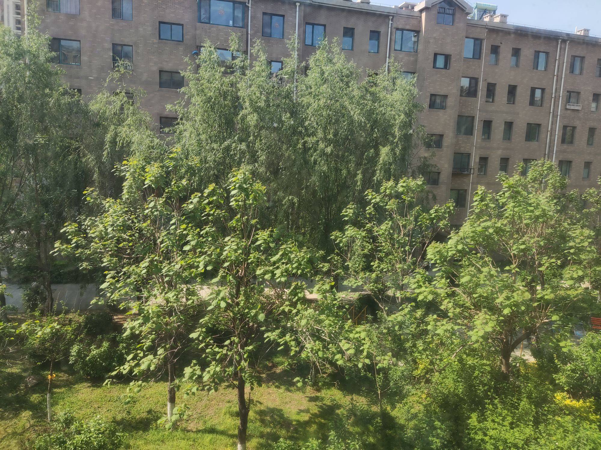 房东直租