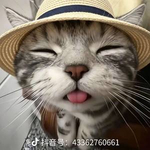 夏奕青