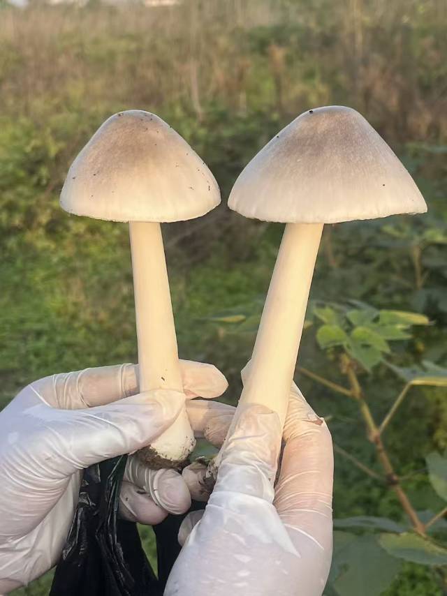 讨厌下雨天