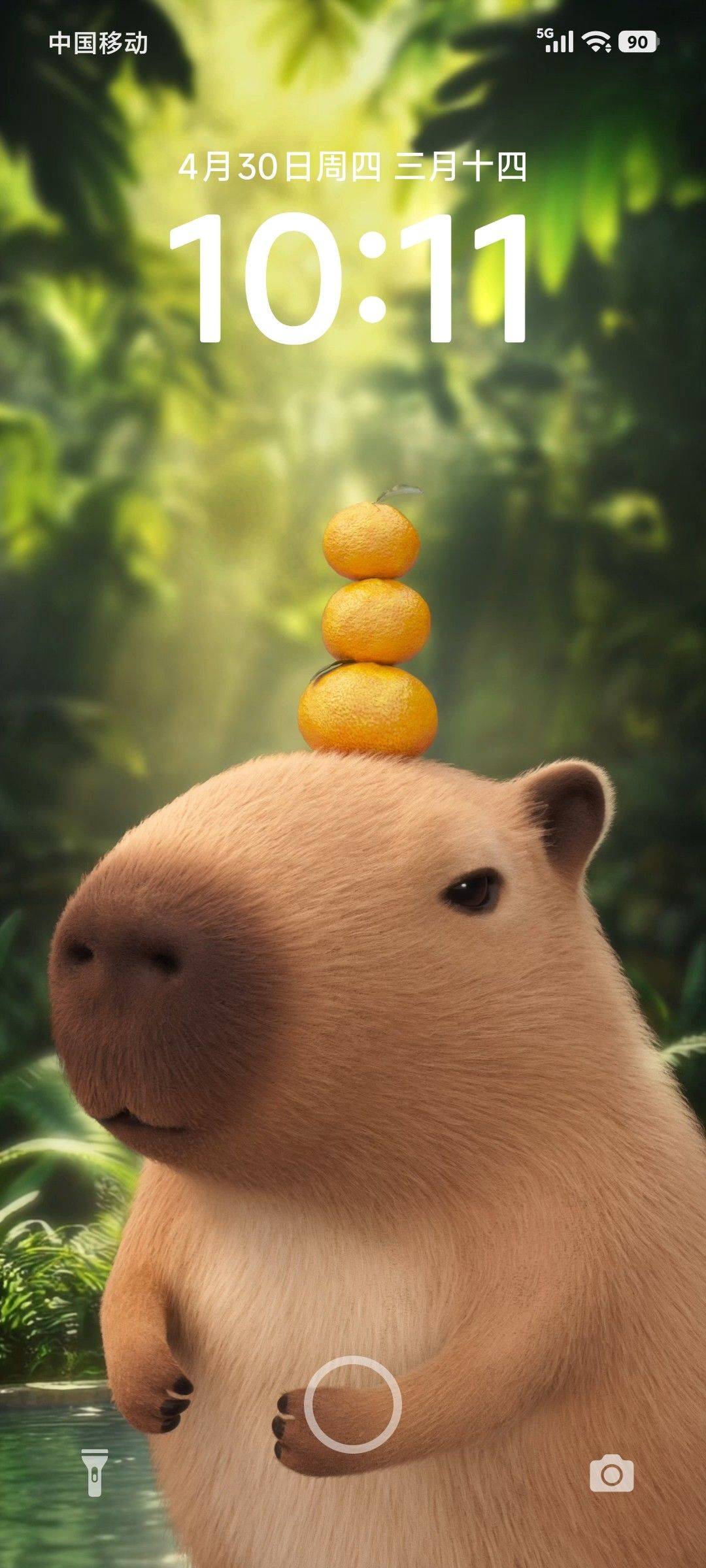美