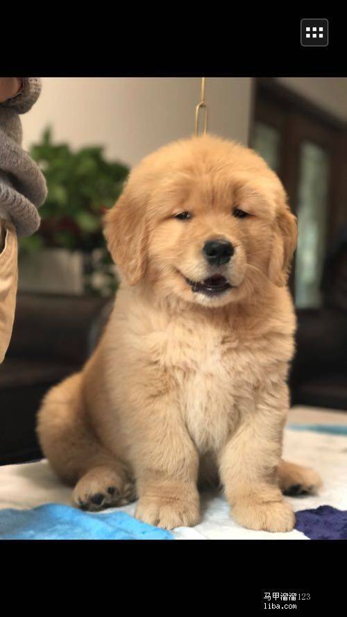 Kevin