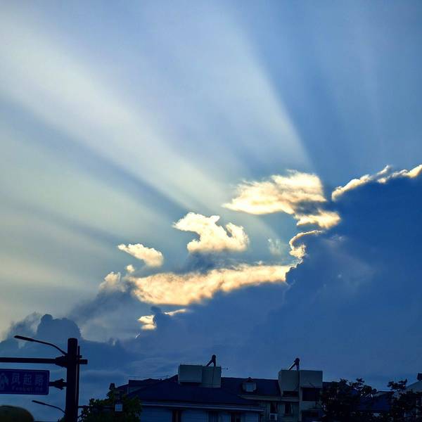 雨