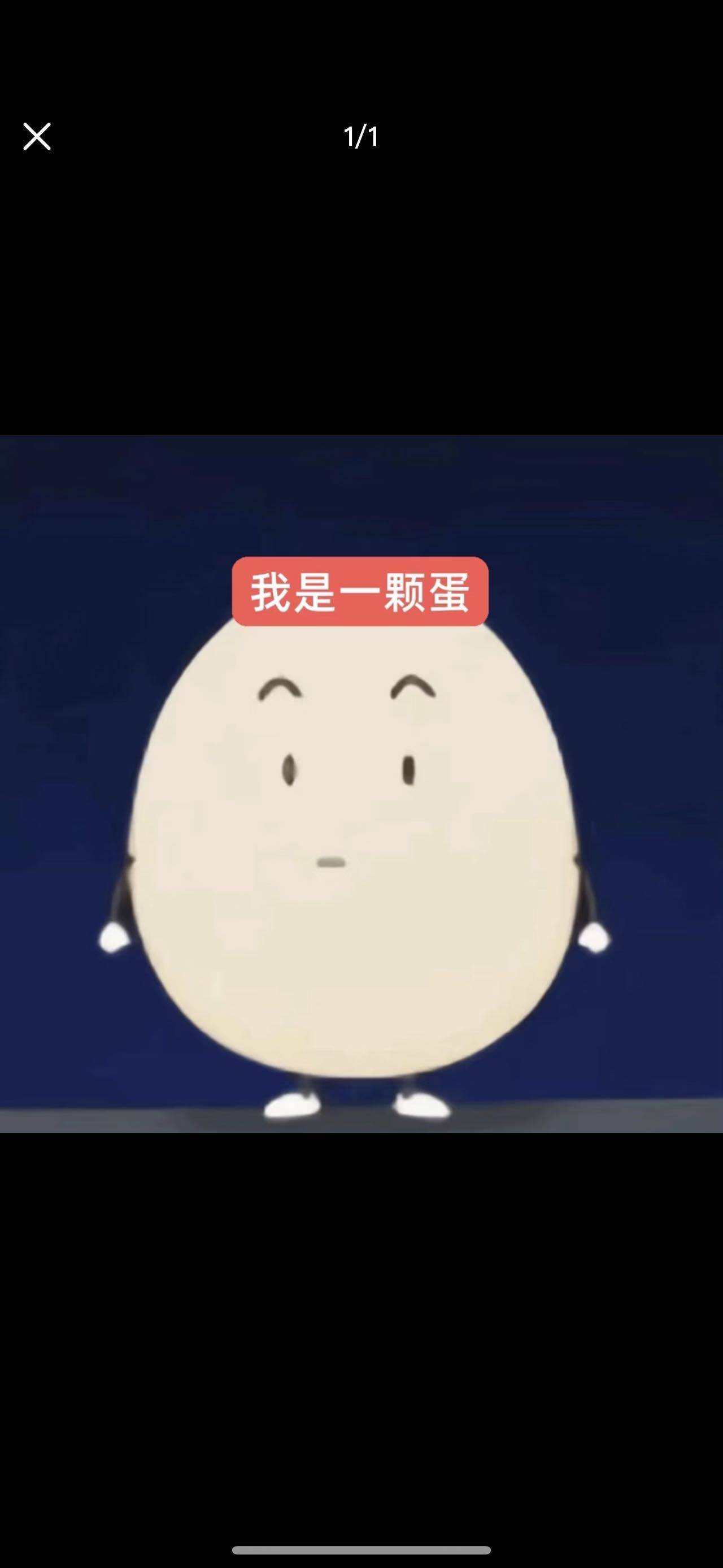 哉哉哉哉