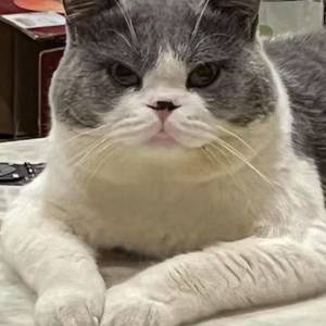 张