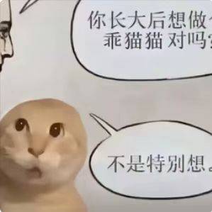 仓鼠飞轮