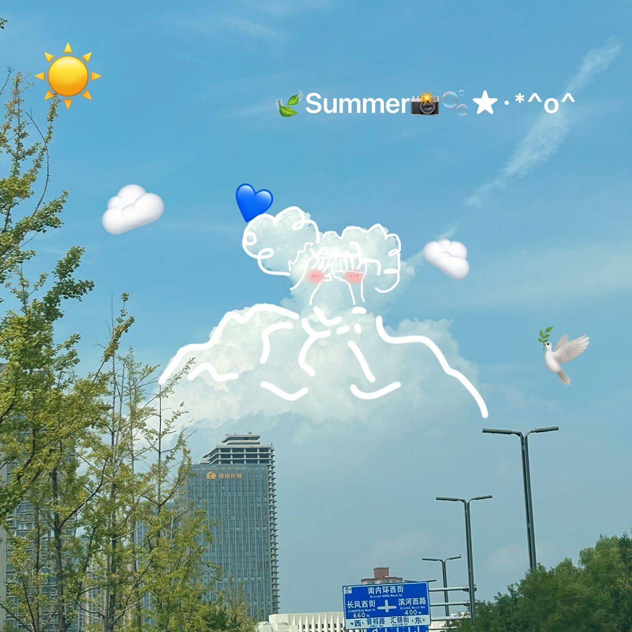 福星高赵