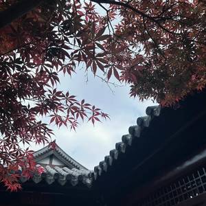 原来是你啊