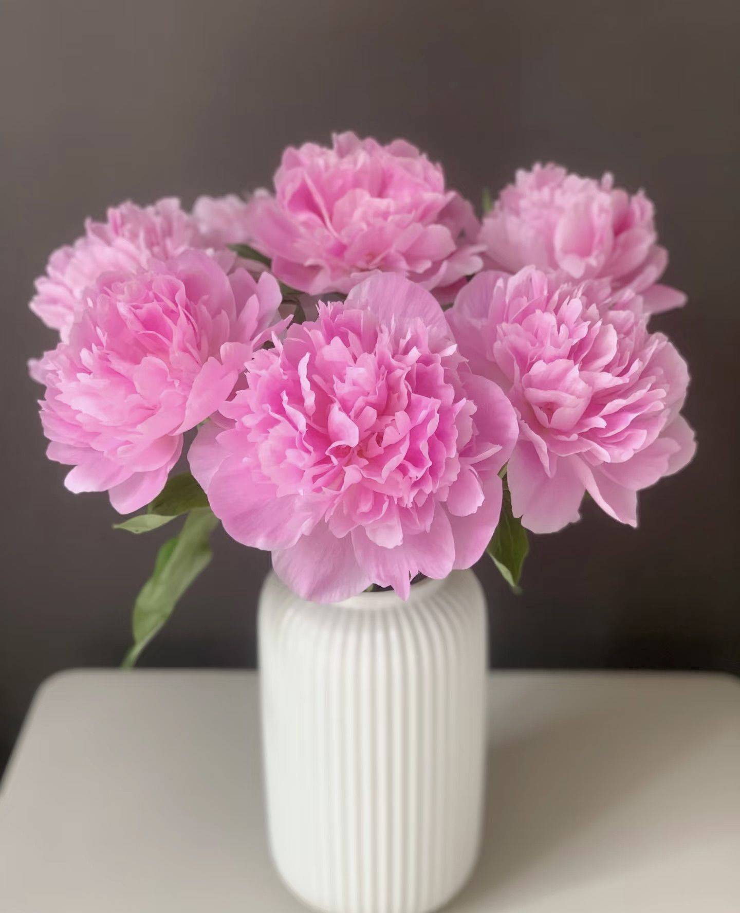 芒果