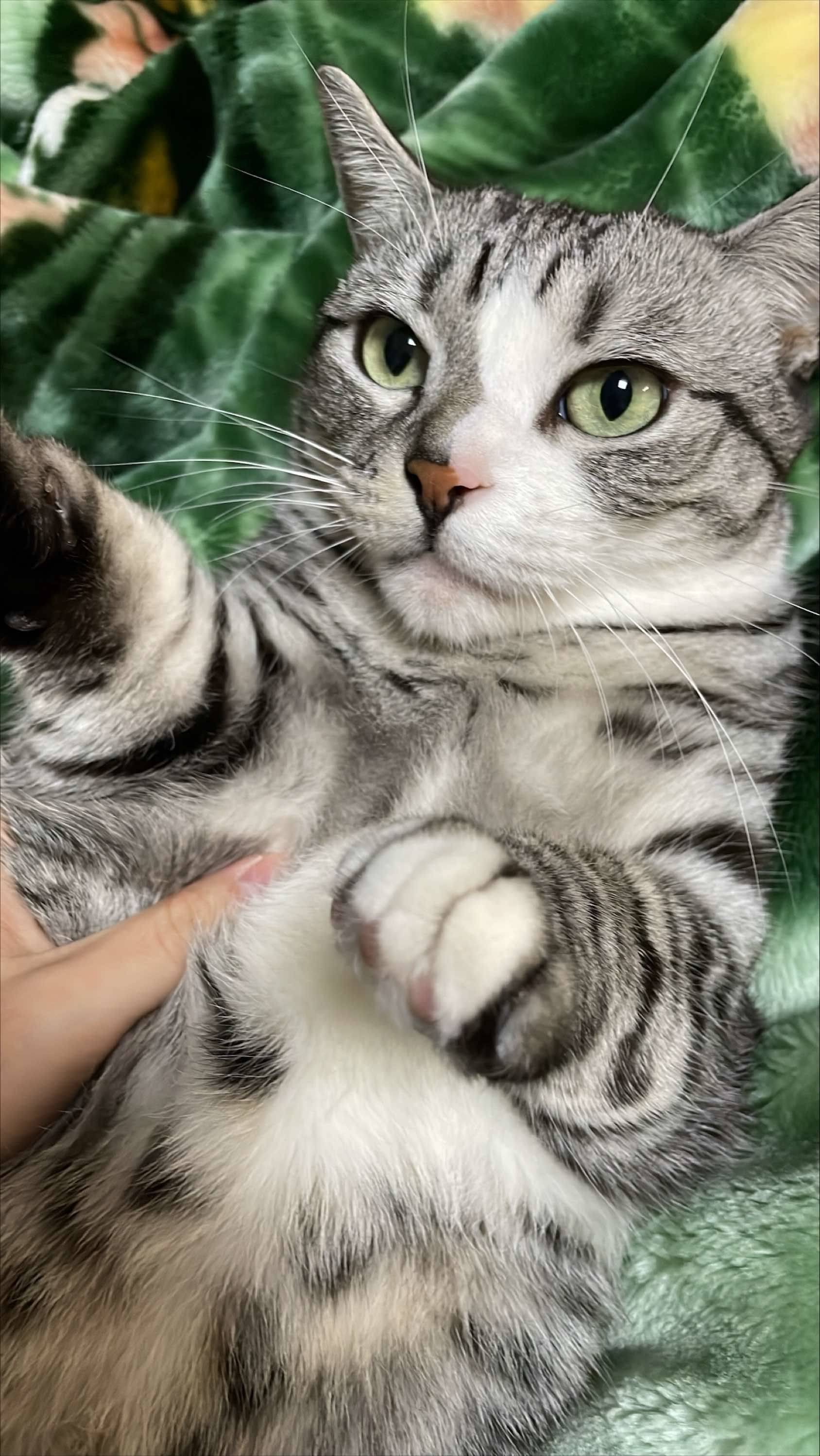Mia