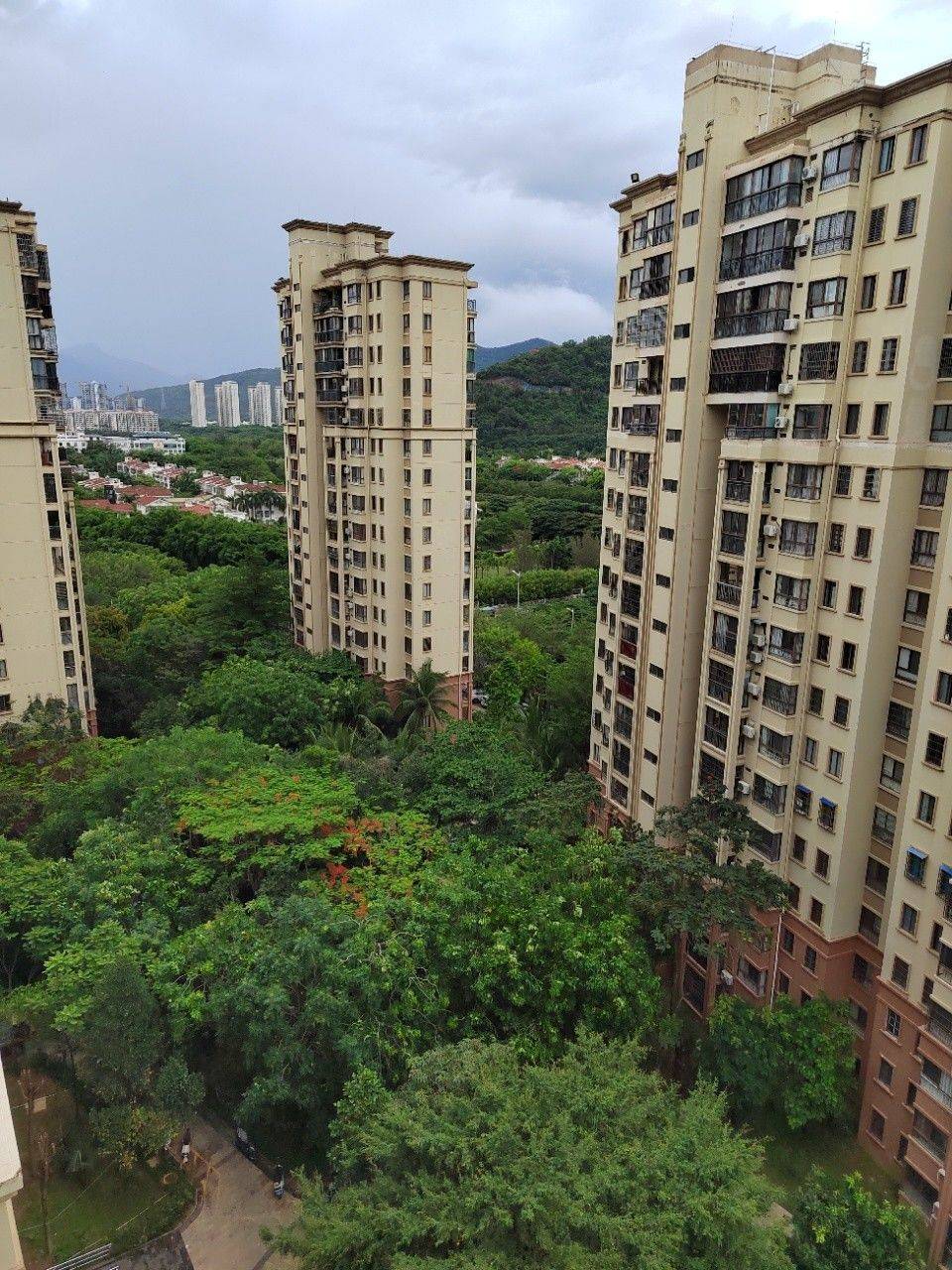 新月雅居/房东
私聊