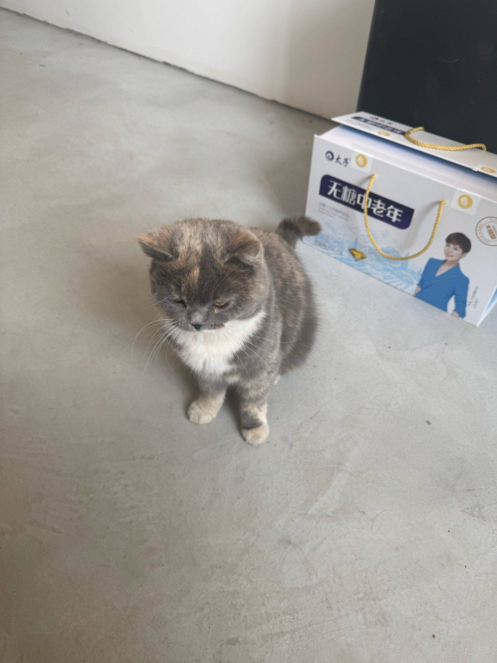 闲人