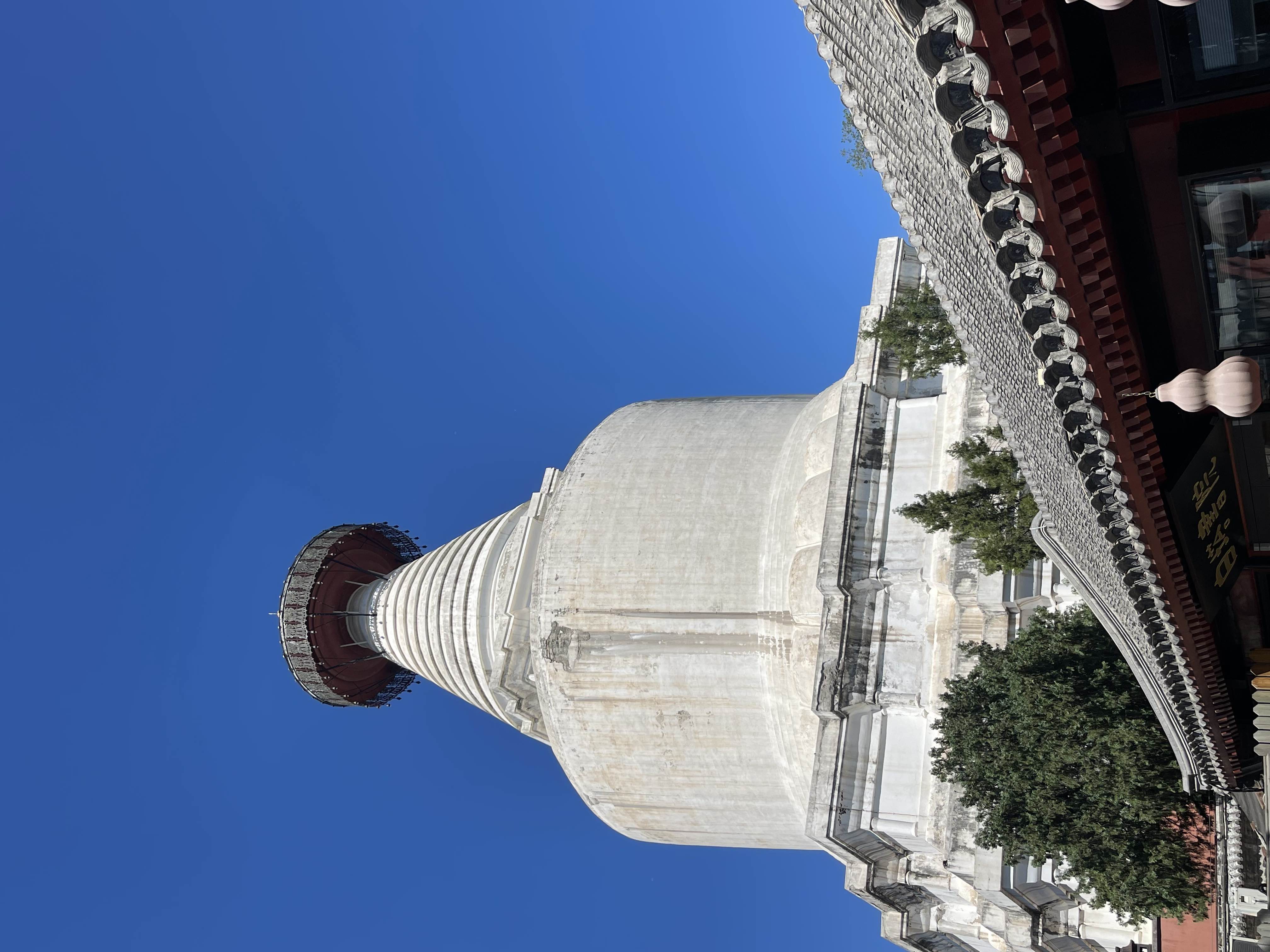 苏珊