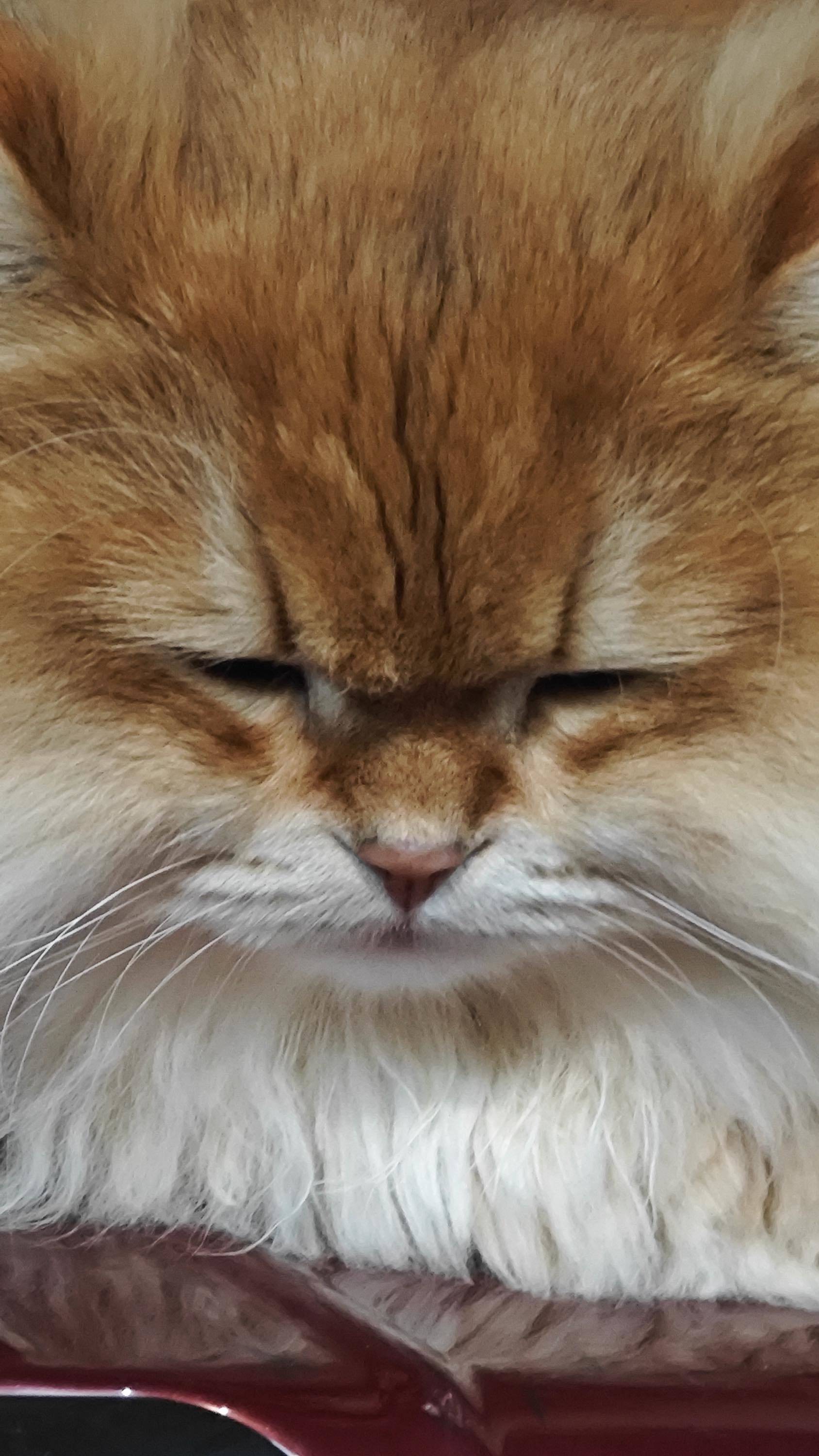 艾伦