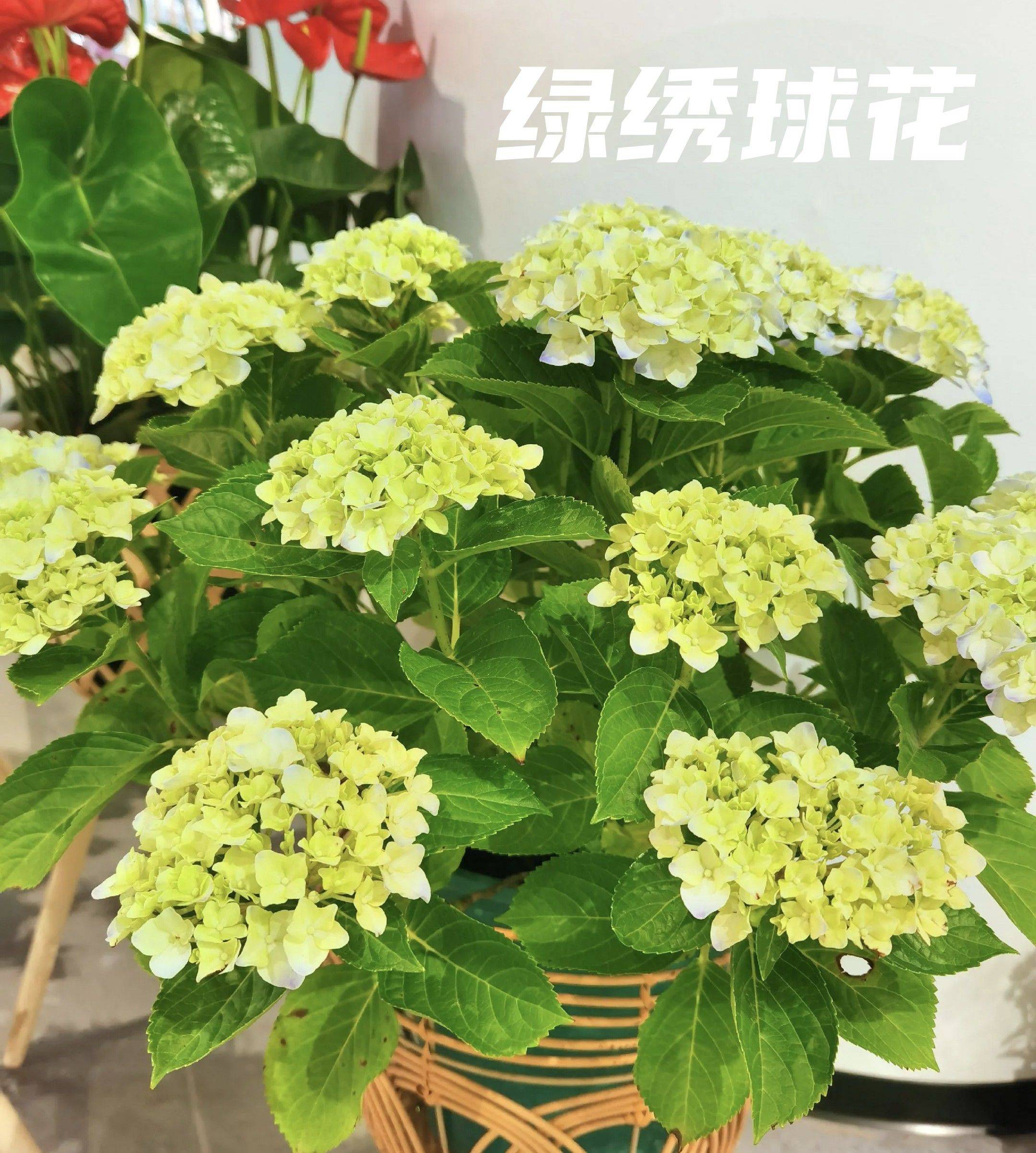 平凡是真