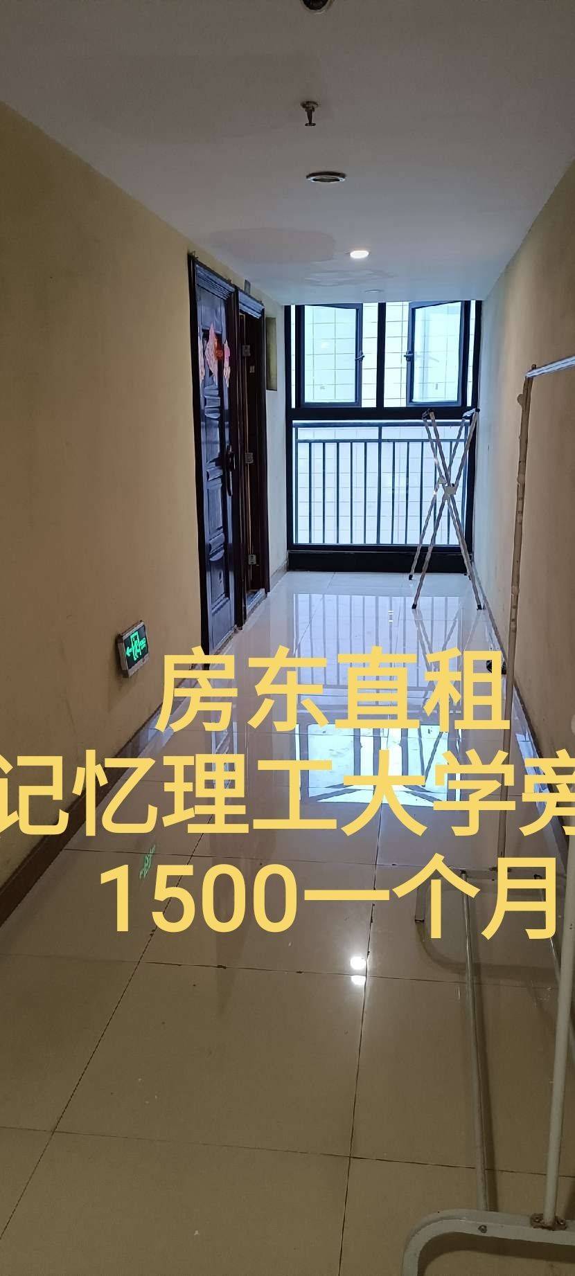 蕾蕾