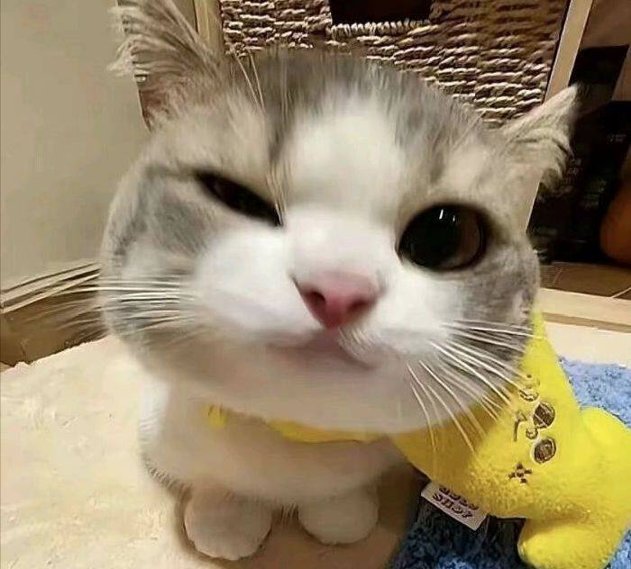 还有禄口
