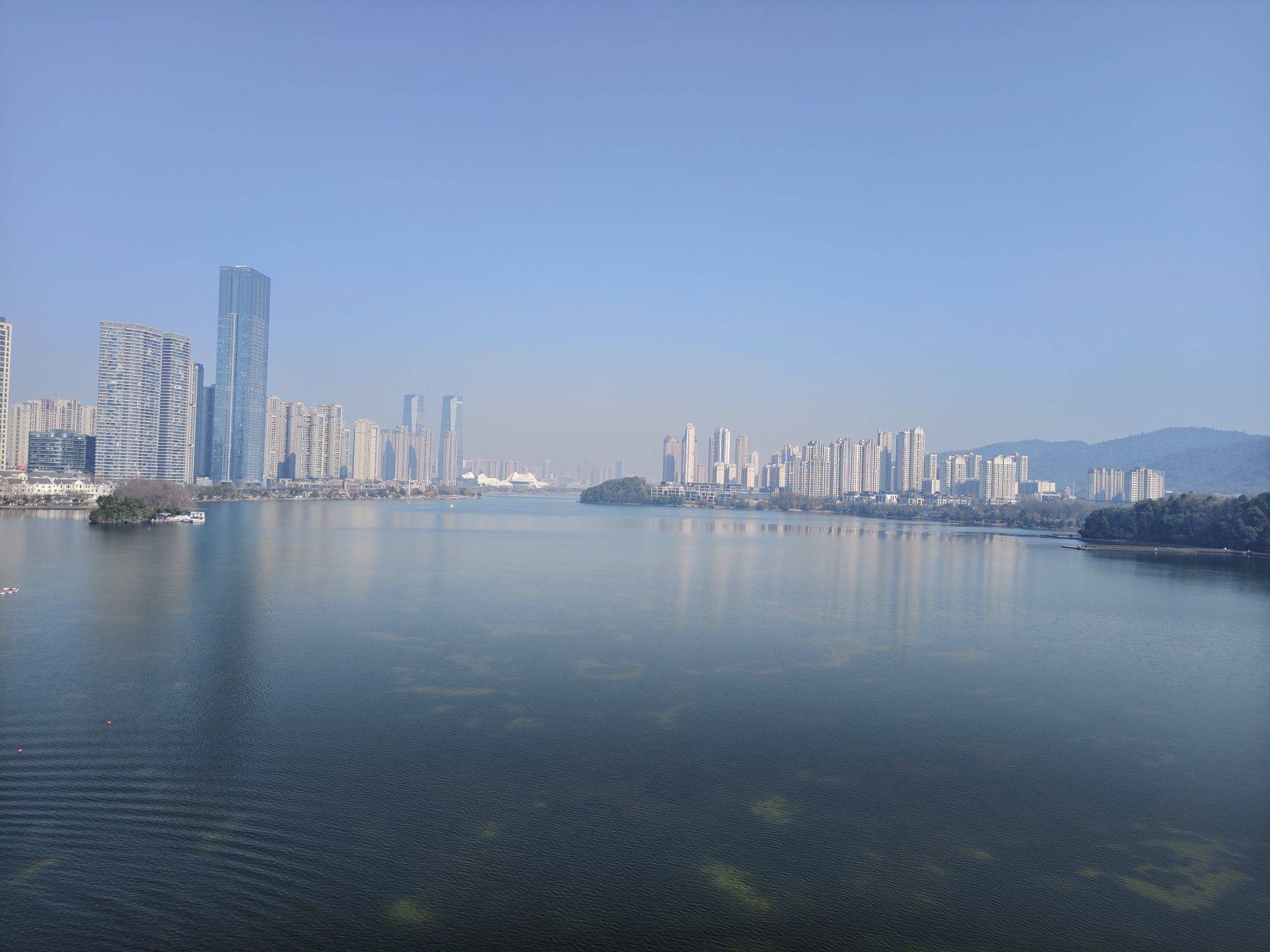 life_photo_1