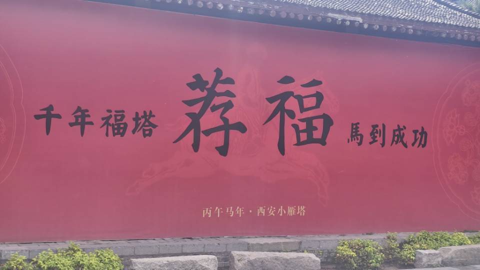 枫叶子