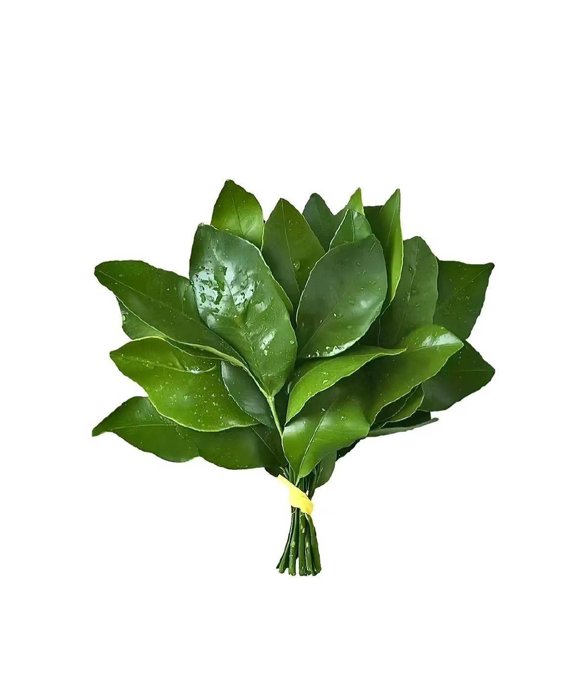 小q