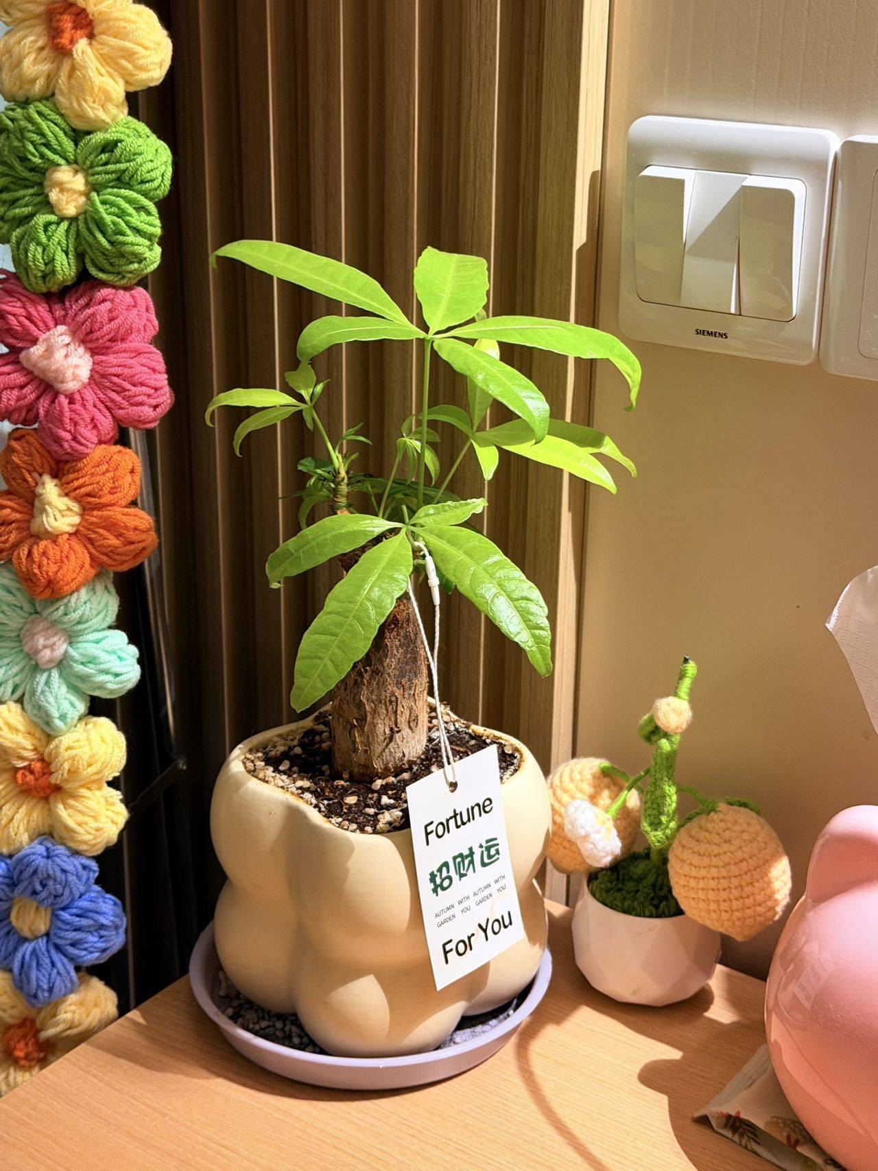 AAA