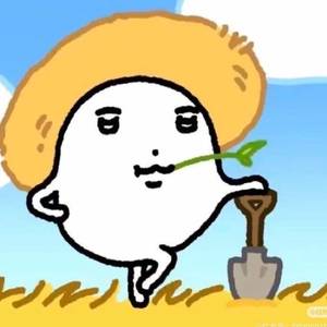 起来打怪