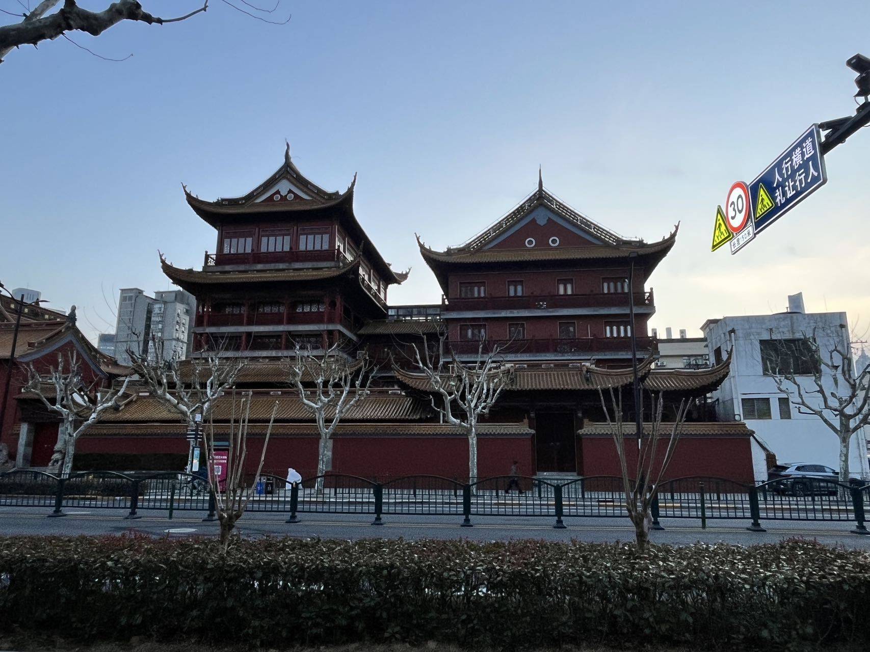 学游泳的鱼