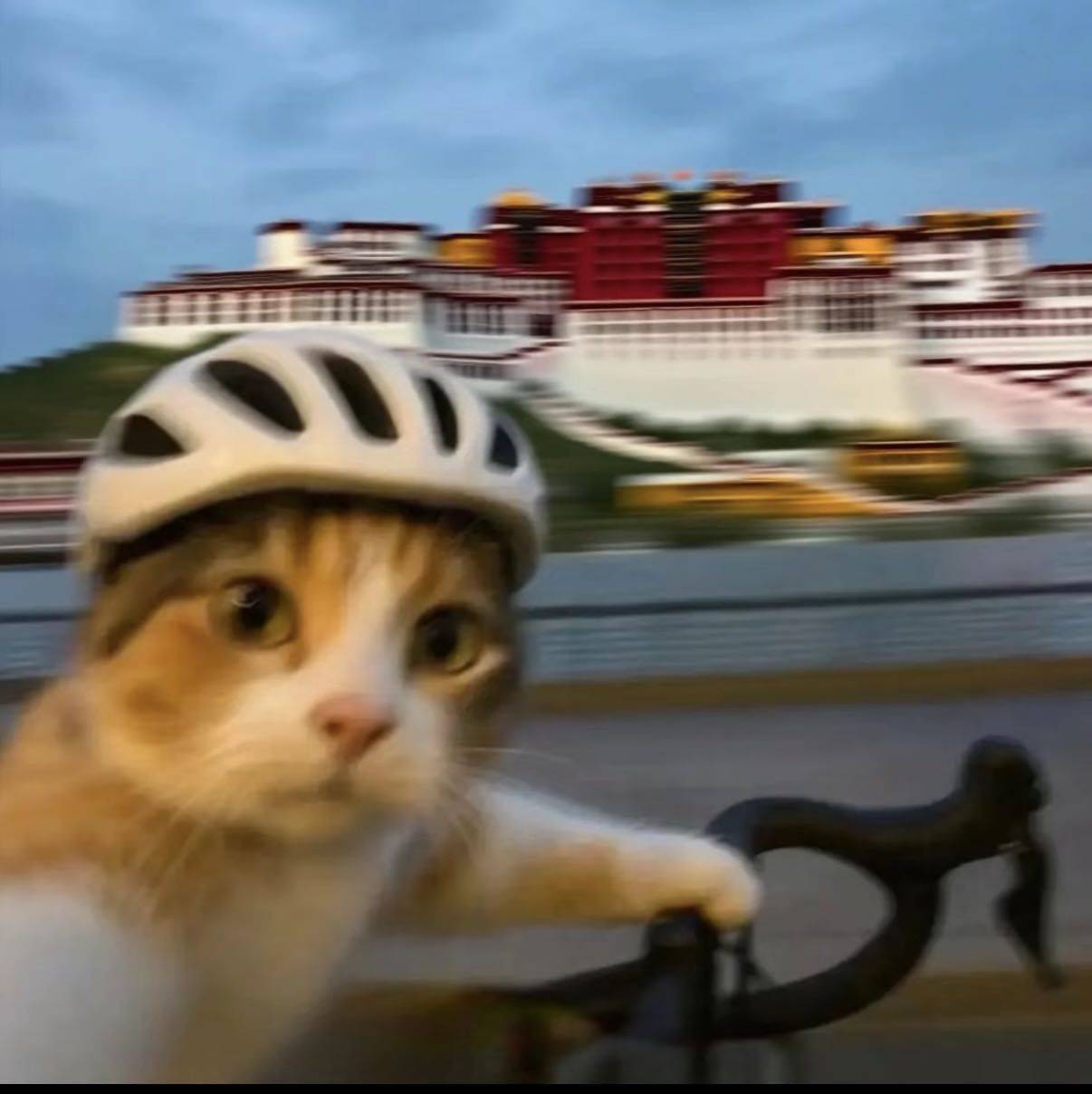 夏末