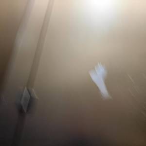 发给发发发