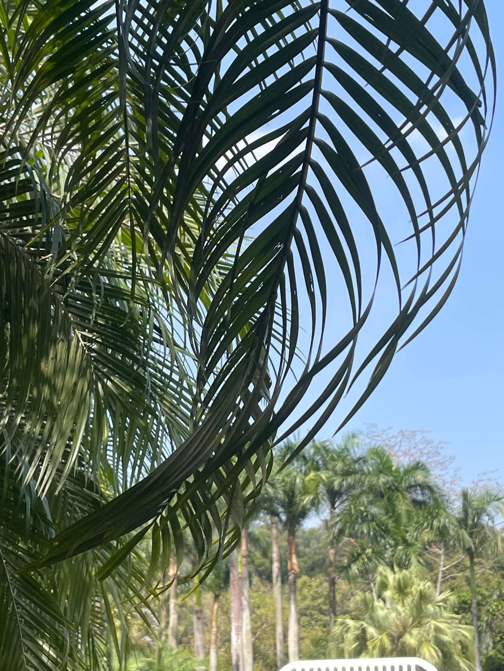 流芳百世的代号