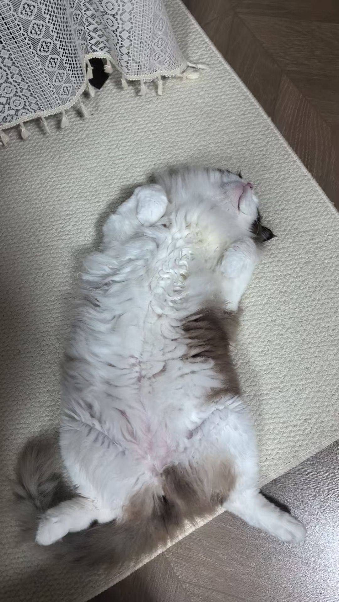 把镜头对准爱的所有