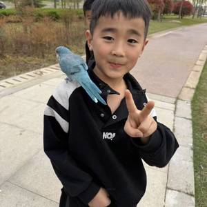 张天宇
