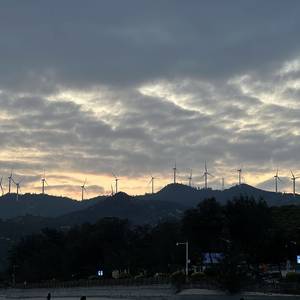 傲娇丽