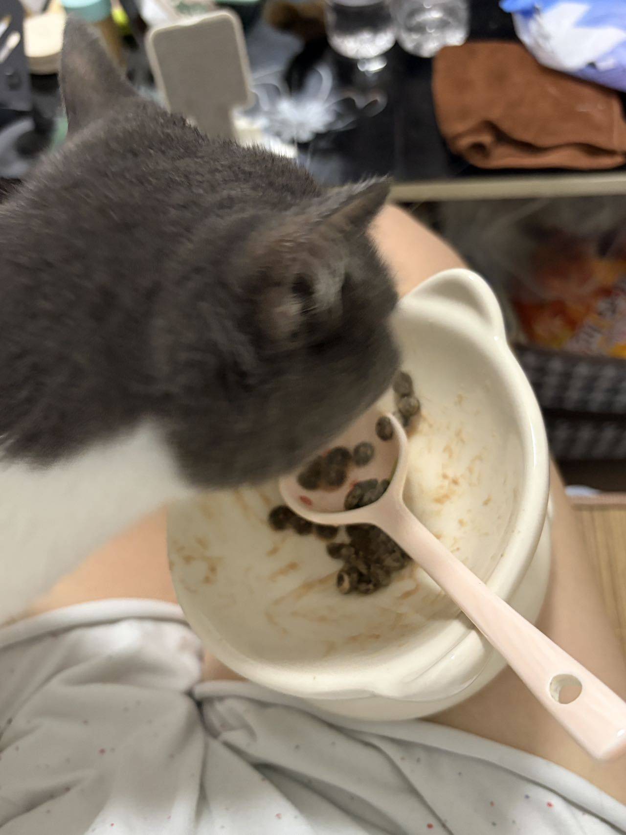 今天也是雨天ᵃ