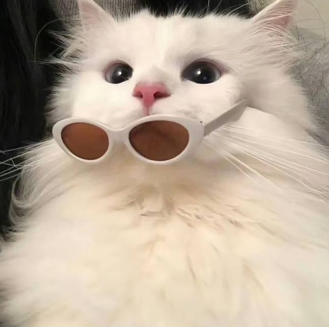 周末好