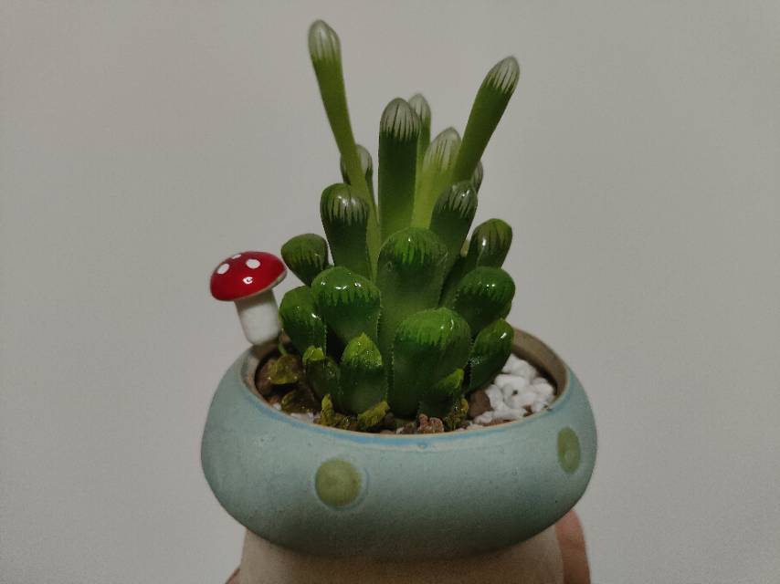 茉然期雨