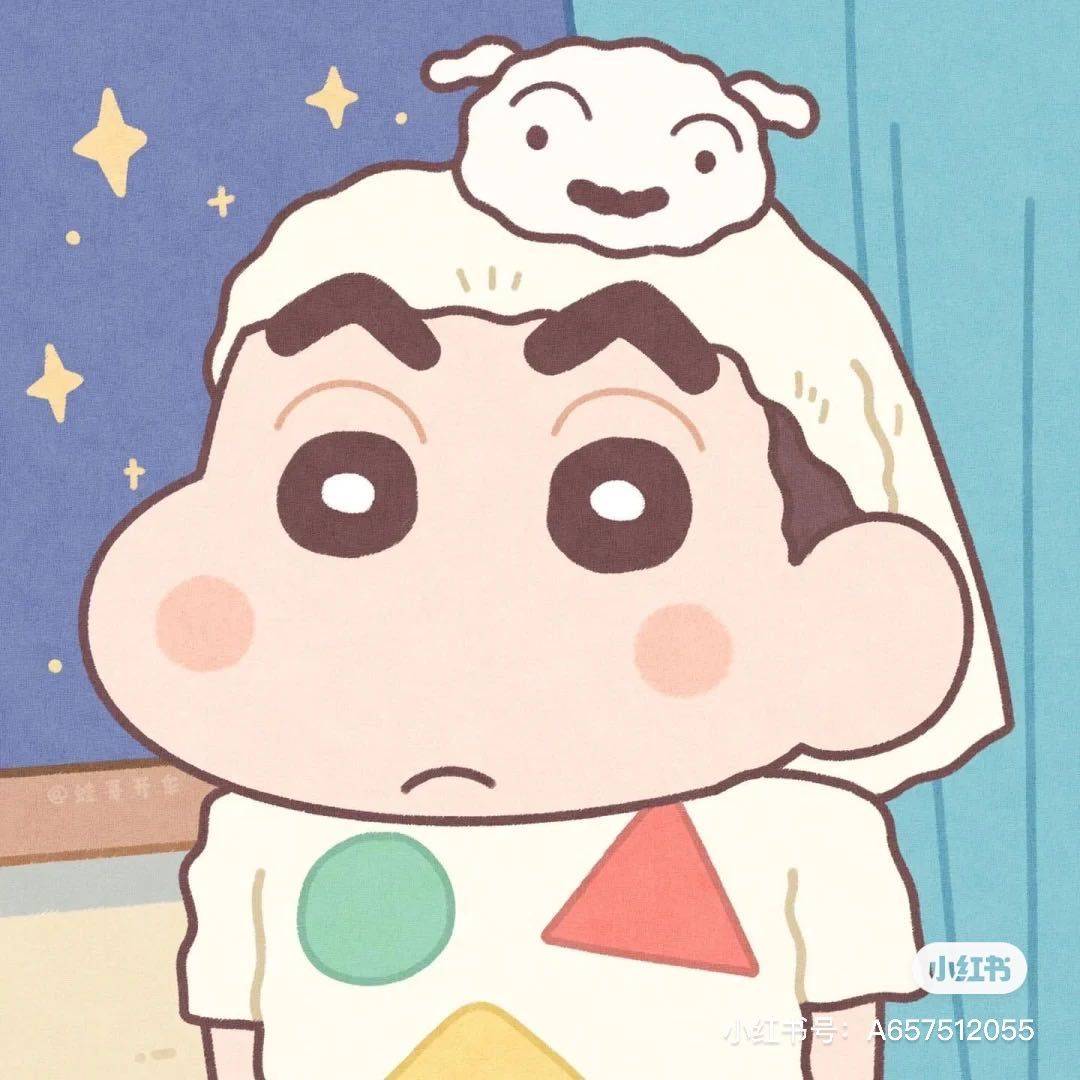 阿真Zzz