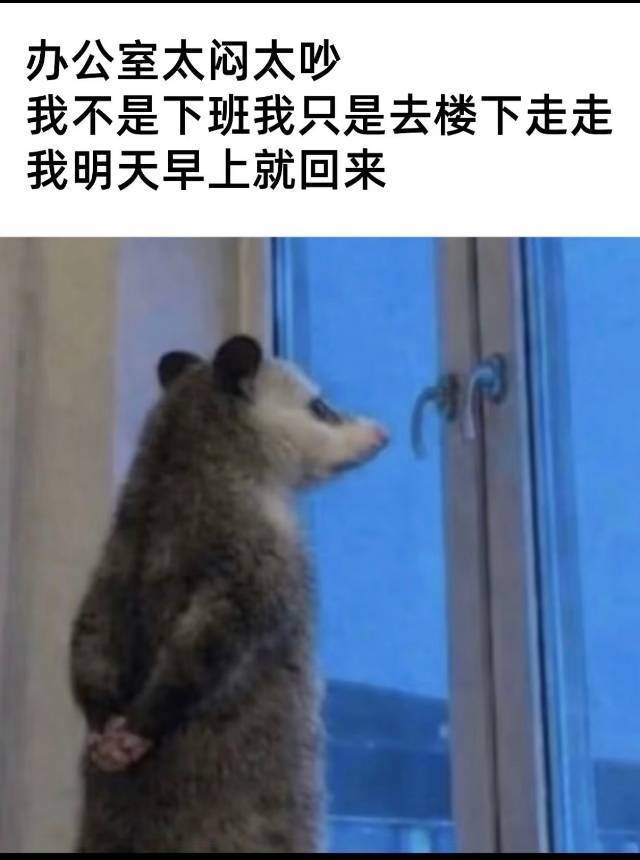青岛市北cbd个人转租
